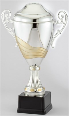 AMC501 Series Metal Trophy